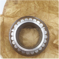 Germany Cylindrical Roller Reducer Bearing RNNX08AV RNNX08V